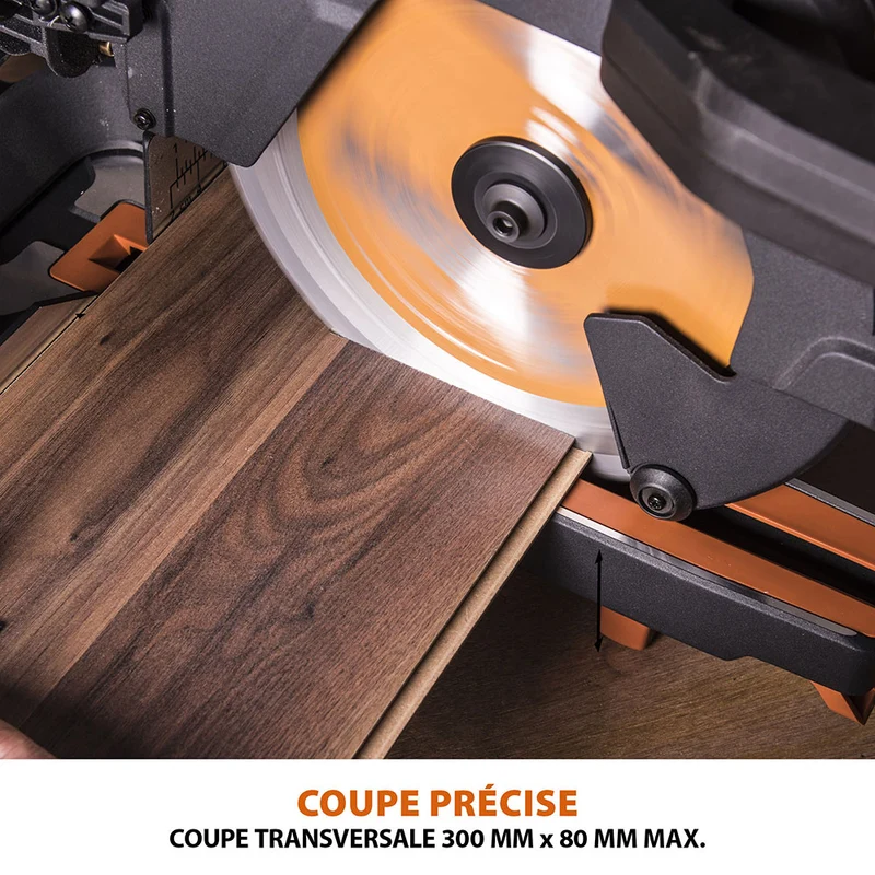 Scie à onglet électrique 255mm Evolution R255SMS+ avec Lame multi-matériaux TCT