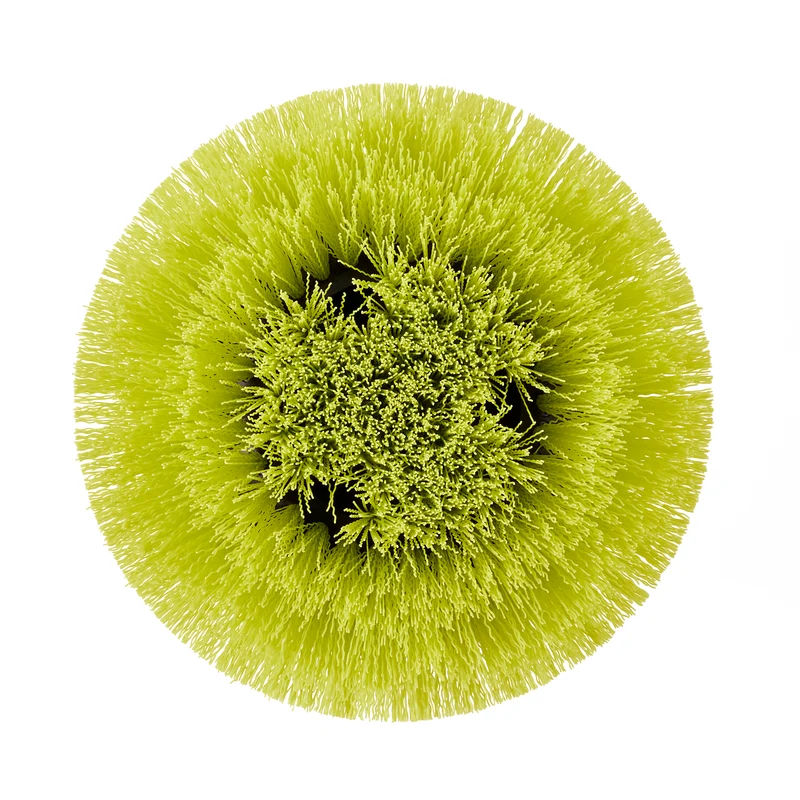 Medium Bristle Round Brush