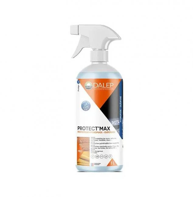 PROTECT’MAX Protecteur Hydrofuge / Oléofuge 1L DALEP