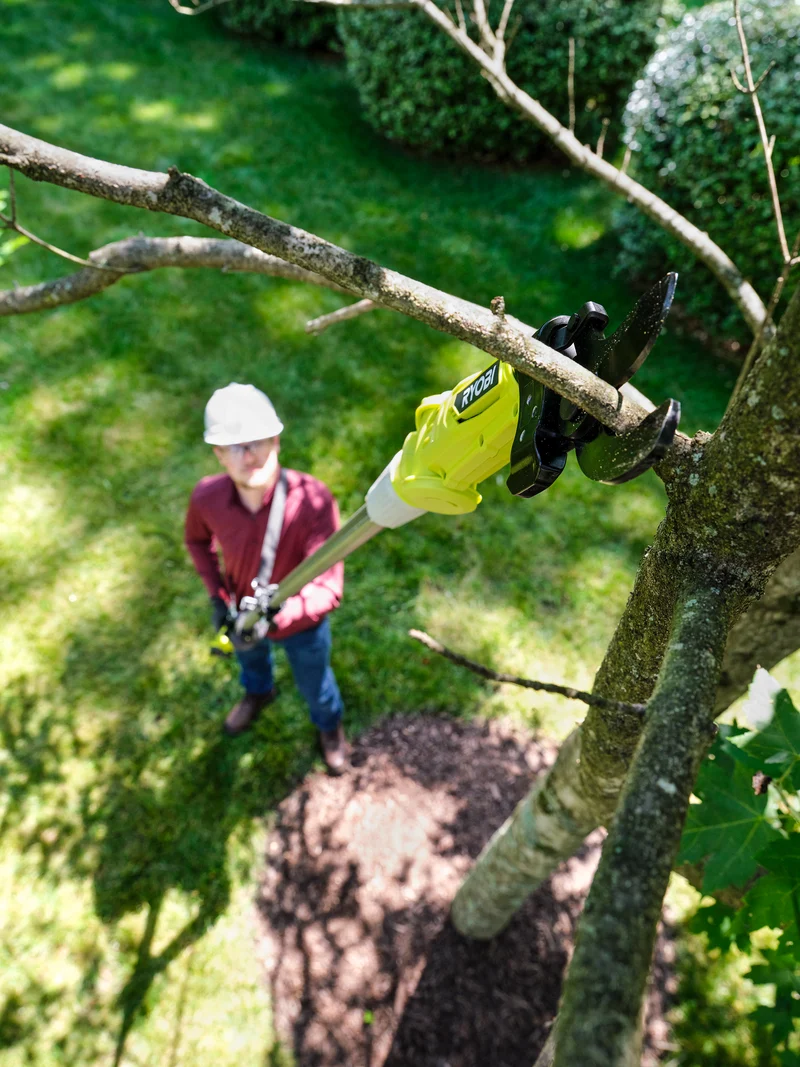 18V ONE+ Pole Lopper
