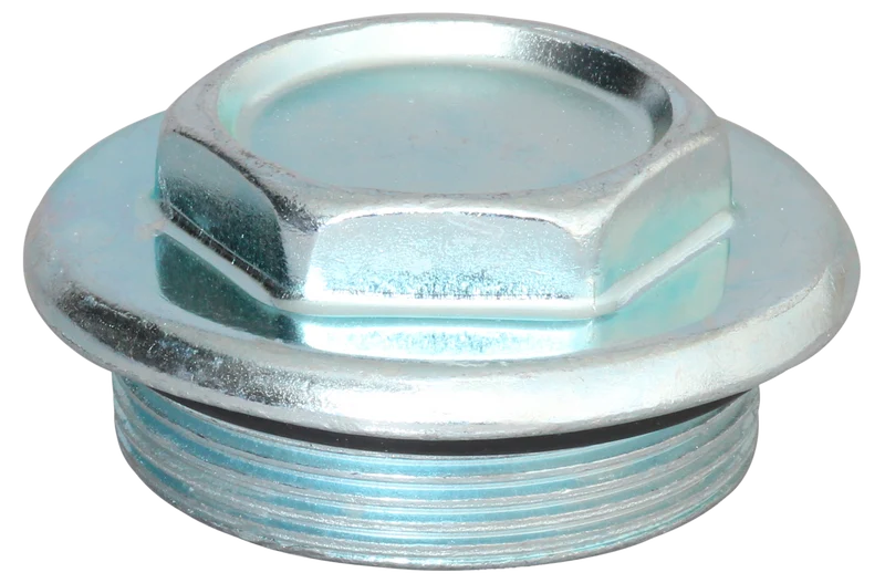 Bouchon : 2" Mâle + Joint 358960 Lacme