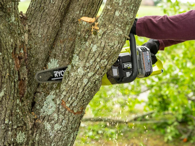 18V ONE+ HP Brushless WHISPER SERIES 12" Chainsaw Kit