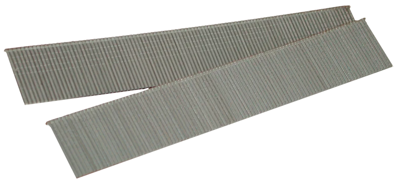 Blister 1000 Pointes 20Mm 338302 Lacme