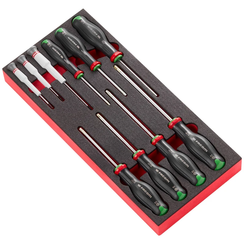 [MODM.AT6PB] Module mousse 10 tournevis PROTWIST® RESISTORX®, taille 1/3"