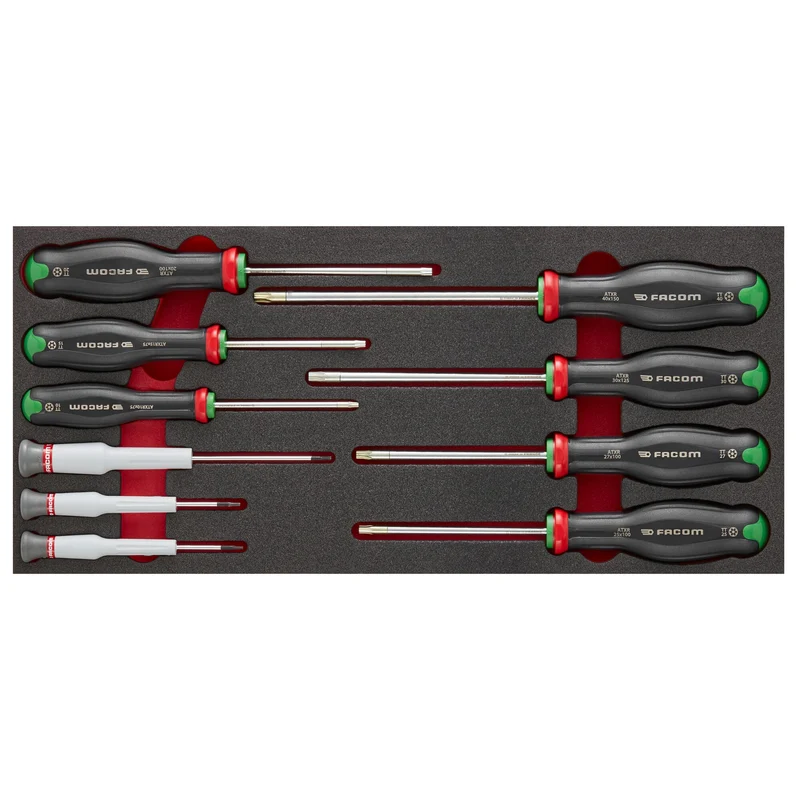 [MODM.AT6PB] Module mousse 10 tournevis PROTWIST® RESISTORX®, taille 1/3"