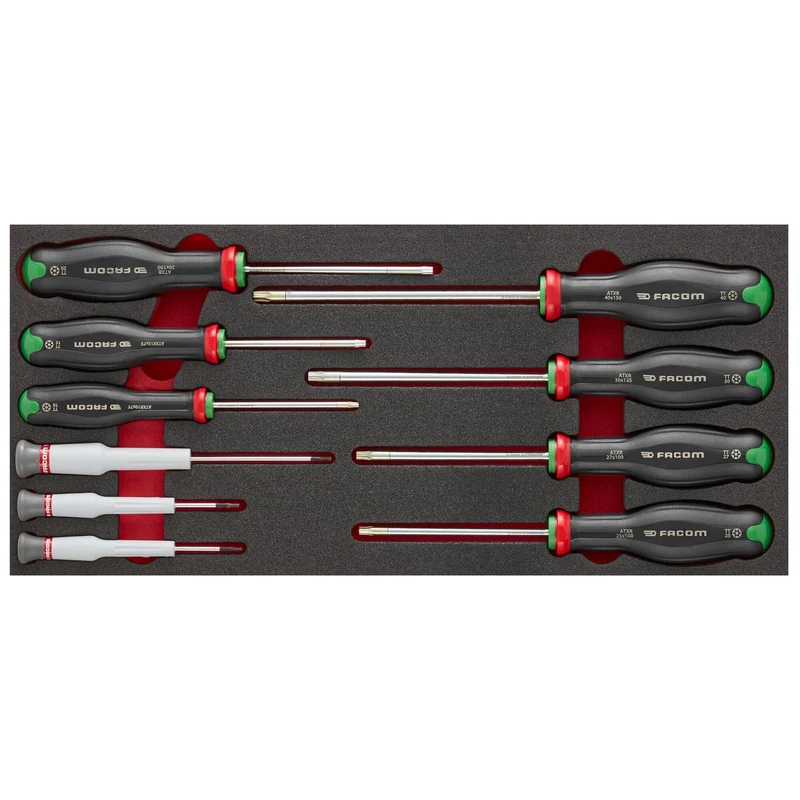 [MODM.AT6] Module mousse 10 tournevis PROTWIST®