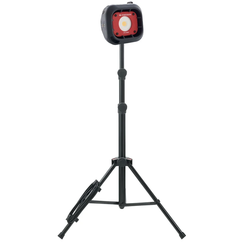 [779.1000RPB] Projecteur rechargeable 1000 lumens