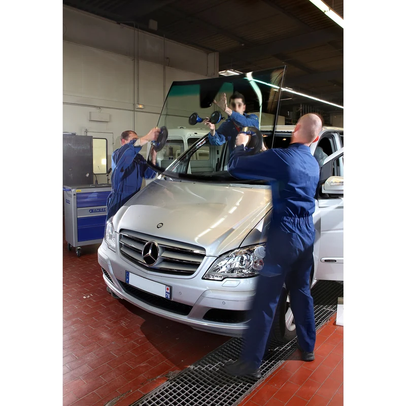 [E201502] Expert - Paire de ventouses