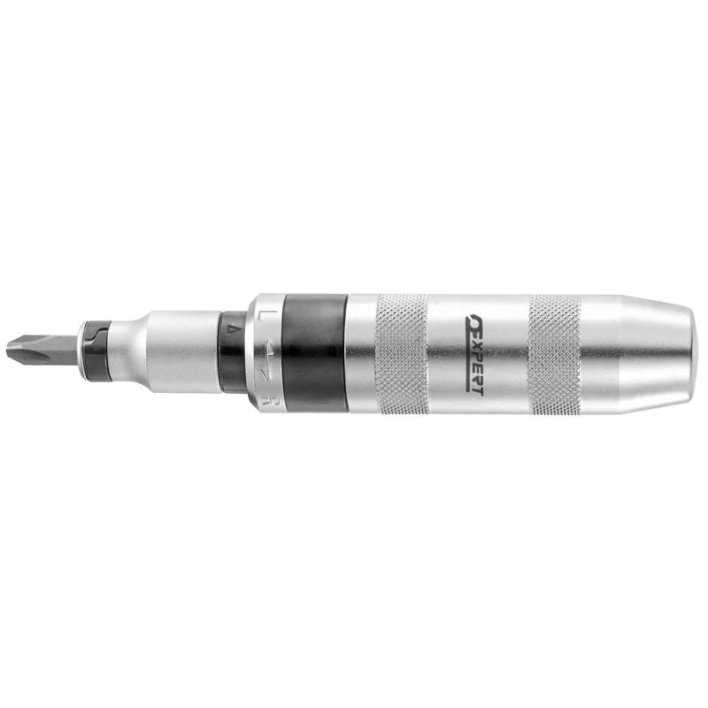 [E230301] Expert - Coffret tournevis à frapper - 12 pièces