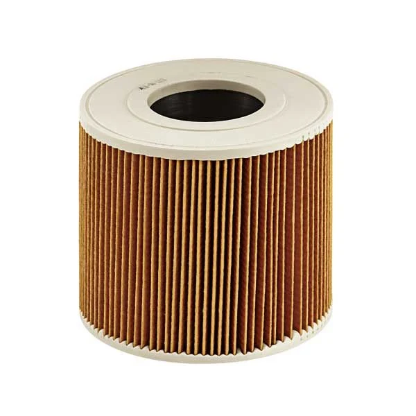 Filtre à cartouche Karcher 6.414-789.0
